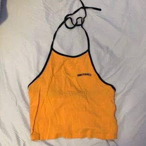 crop top (ties around the neck)